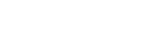 Logo Palmashow