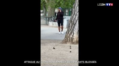 Attaque au couteau à Annecy : les images glaçantes du suspect