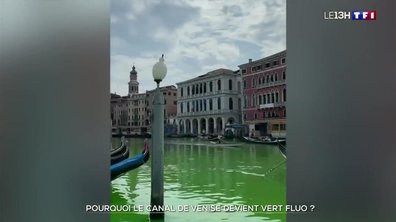 Pourquoi le Canal de Venise devient-il vert fluo ?